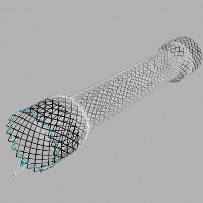 Cook® Evolution Oesophageal Stent