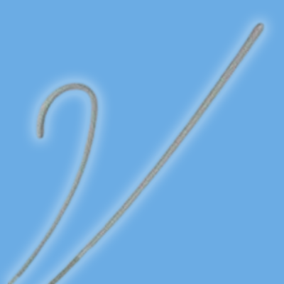 Cook® Lunderquist Wire Guides