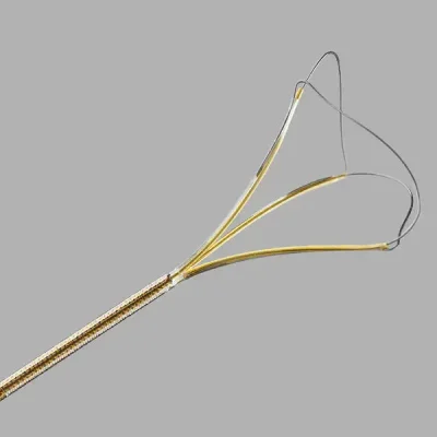 Cook® NGage® Salivary Stone Extractor