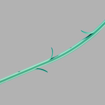 Cook® Plastic Pancreatic Stents and Introducers