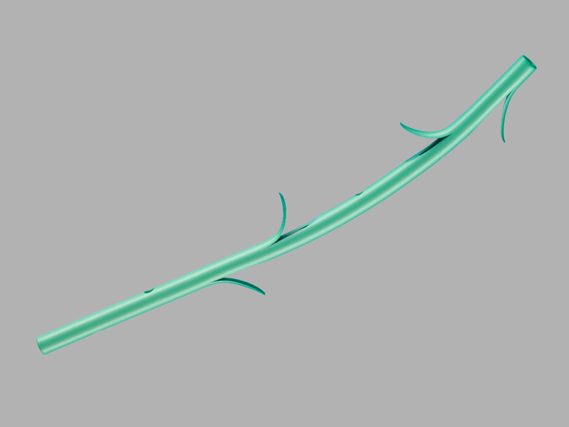 Cook® Plastic Pancreatic Stents and Introducers