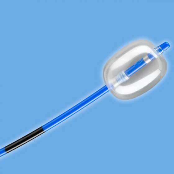 GI-Endoscopy – Obex
