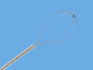 Salivary Duct Access