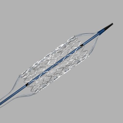 Cook® Formula™ Renal Balloon Expandable Stent