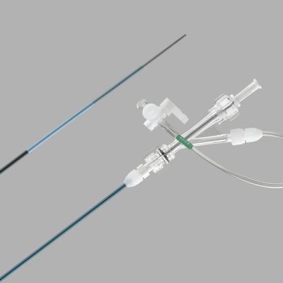 Cook® Shuttle Select® Carotid Artery Access System