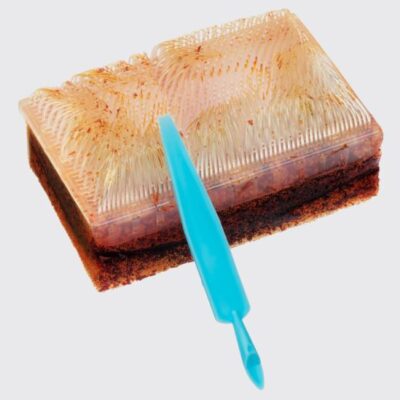 BD E-Z Scrub™ Povidone Iodine w/Nail Cleaner