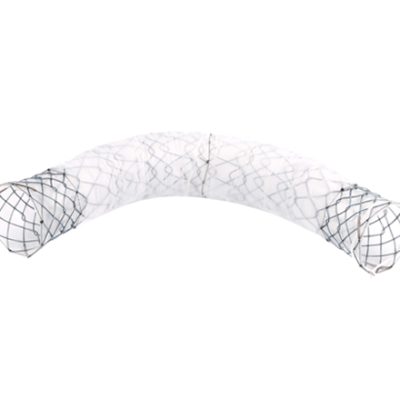 TaeWoong Niti-S™ Bumpy™ Biliary Stent