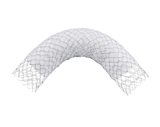 TaeWoong Niti-S™ Comvi™ Enteral, Pyloric and Colonic Stents