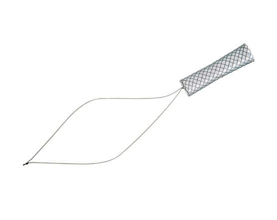 TaeWoong Niti-S™ Kaffes™ Biliary Stent