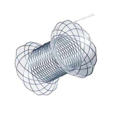 TaeWoong Niti-S™ Nagi™ Stent