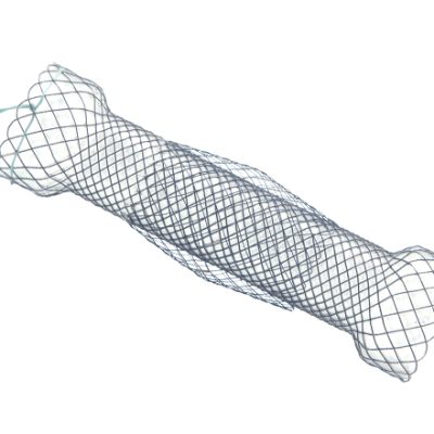 Taewoong Niti-S™ Double™ Esophageal Stent